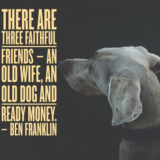 Dog Quotes: 25 Sayings Only Dog Lovers Will Understand